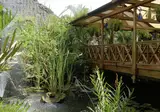 Leopard Beach Resort & Spa foto 19