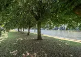 Le Gibanel foto 15