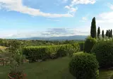 Fattoria Degli Usignoli Hotel & Residence foto 16