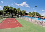Diomedee foto 8