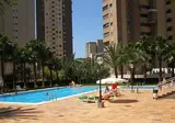 Paraiso Centro foto 10