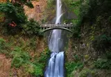 Oregon op het gemak foto 13