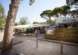 Camping Le Pansard foto 10
