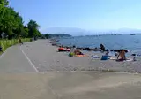 Piantelle foto 17