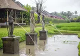 Desa Visesa Ubud foto 21