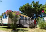 Arena Stupice Campsite foto 11