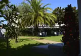 Fortunella foto 26