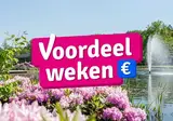 Vakantiepark Molenvelden foto 1