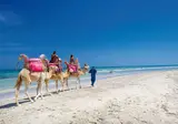 Djerba Plaza Thalasso & Spa foto 5