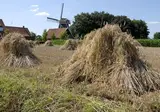 Vodatent Camping de Rammelbeek foto 17