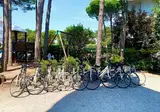 Hotel Alemagna Bibione foto 10
