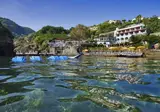 Delfini Terme foto 13