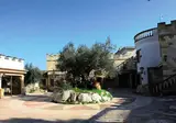 Tenute Al Bano foto 23