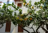 Cesotta foto 22