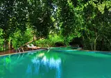 Jungle Beach Resort foto 4