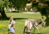 Grecotel LUXME Costa Botanica foto 30