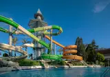 Delphin Diva foto 15