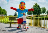 De Vogel foto 6