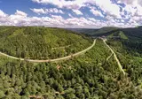 Ontdek het Zwarte Woud vanuit Bad Bellingen foto 6