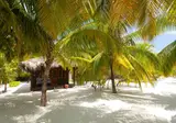 Filitheyo Island Resort foto 6