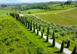 Tenuta Castellare di Tonda foto 8