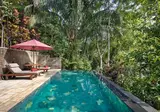 Ayung Resort Ubud foto 1