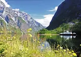 De fjorden op het gemak foto 20