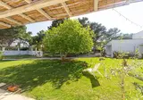 Masseria Rauccio foto 4