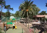 Camping L Avena foto 6