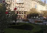 EA Rokoko foto 7