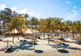 Palm Beach foto 17