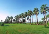 Royal Atlantis Beach foto 24