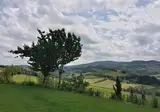 Poderi Arcangelo foto 26