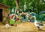 De Luttenberg foto 10