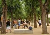La Masia foto 19