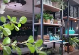Hotel Umberto foto 15