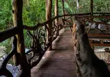 Jolie Jungle Eco Hotel foto 15