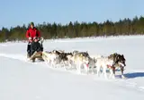 Ontdek het winteravontuur vanuit Lillehammer foto 6
