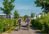 Schoneveld foto 18