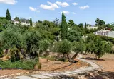 Carvoeiro Gardens foto 1
