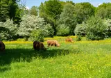 Het Amsterdamse Bos foto 19