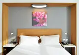 Hotel Hilton Garden Inn Milan North foto 3