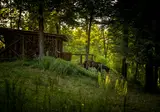 Forest Camping Mozirje foto 34