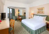 Ramses Hilton foto 27