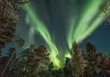 4 daagse excursiereis Muotka Wilderness Week foto 1