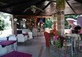Fly & Go Erkin Aparthotel foto 17
