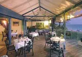 Bougainvillea Barbados foto 4
