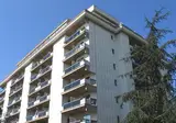 Pineta Palace foto 1