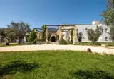 Secolario Masseria del Viverbene foto 14