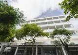 Acandia foto 2